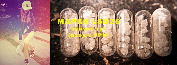 индика Лихославль